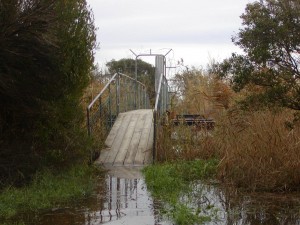 Bruecke_17.11.2002