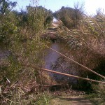 Bruecke_weg_04_11_2008