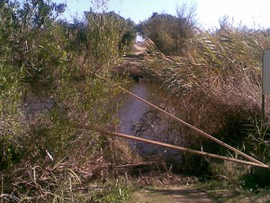 Bruecke_weg_04_11_2008