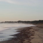 Morgennebel_20.12.2002