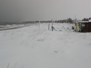 Schnee-Strand-29.01.05