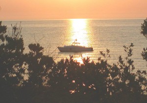 Sonnenaufgang_19.06.2002