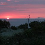 Sonnenaufgang_28.04.2002