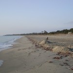 Strand_12.09.04