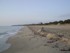 Strand_12.09.04