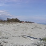 Strand_2004