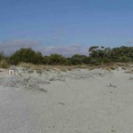 Strand_30.10.2002