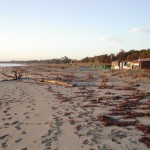 Strand_30.11.2002