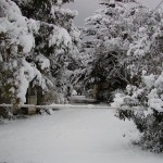 furesta_29.01.05